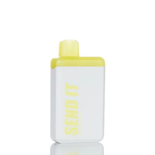 Send It 5000 Puffs Rechargeable Disposable Vape - 12ML